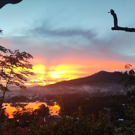 Purple Homestay Hillside Coron Exteriör bild